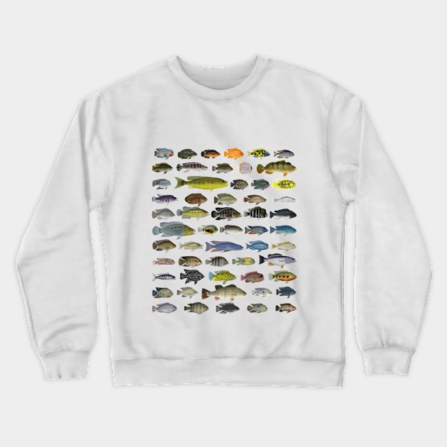 Cichlid Group Crewneck Sweatshirt by FishFolkArt